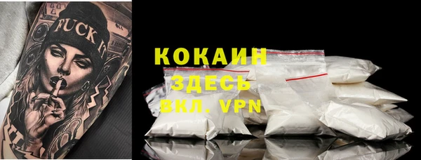 спайс Гусев