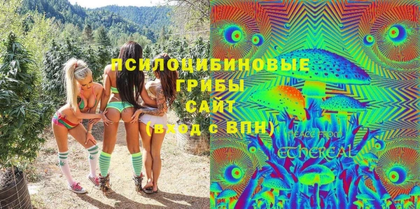 спайс Гусев