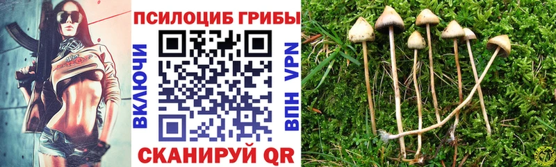 Галлюциногенные грибы мухоморы  mega сайт  Октябрьск 